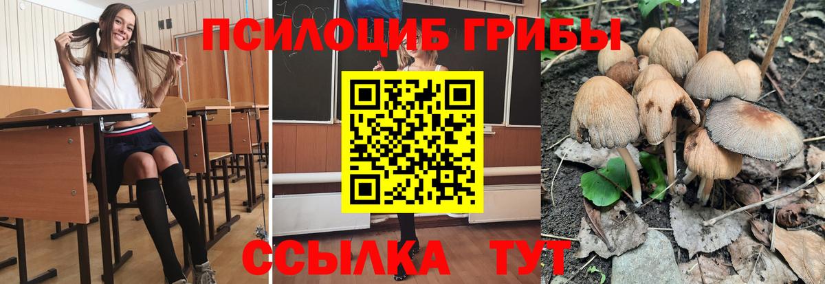 Галлюциногенные грибы Magic Shrooms Киселёвск