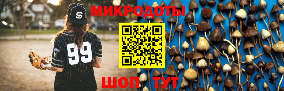 Псилоцибиновые грибы прущие грибы  Вход с VPN  сколько стоит  Киселёвск 